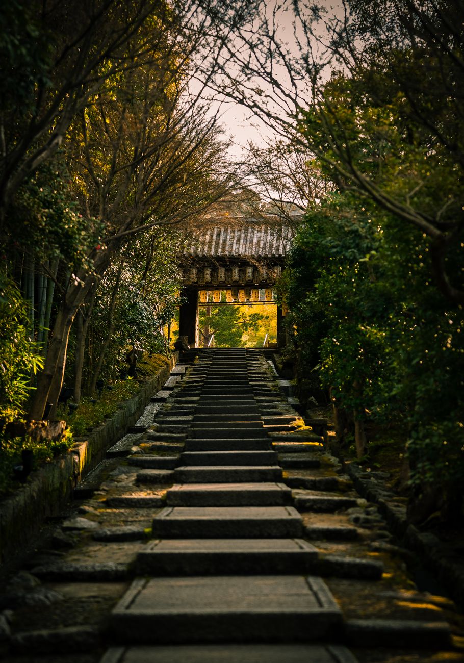A temple gate at the top of a stone stairway among trees